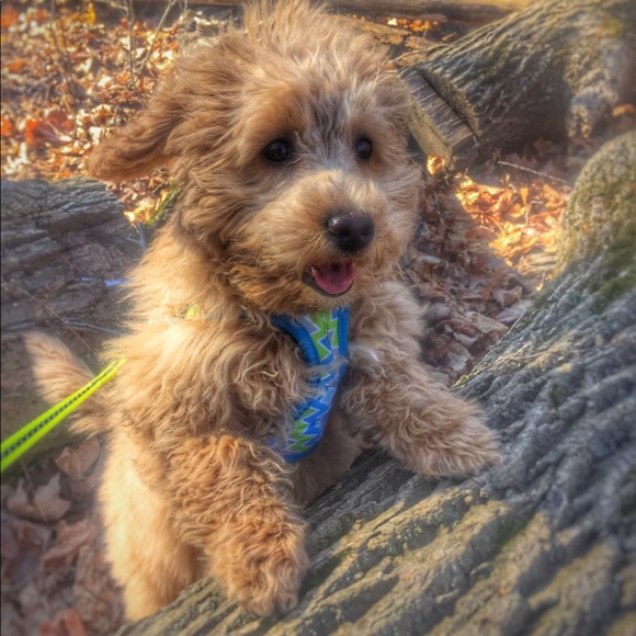 Meet your Posher, Jess - Picture 2 of 2